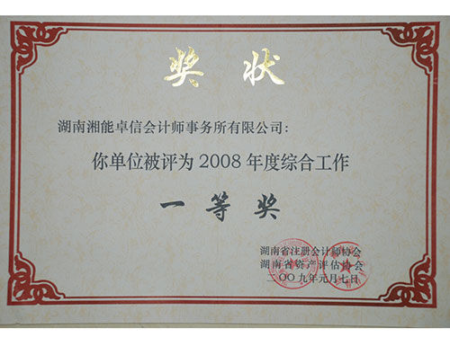 2008年综合工作一等奖