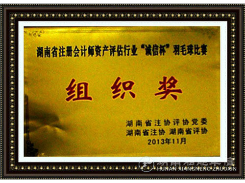 2013年羽毛球比赛组织奖1