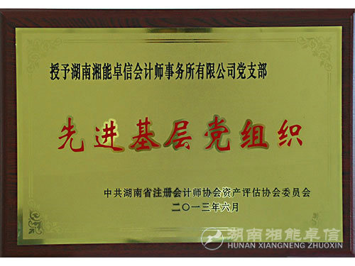 2013年省注协先进党组织
