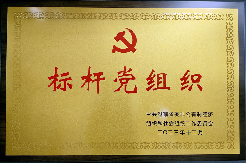 湘能卓信党总支被授予“标杆党组织”