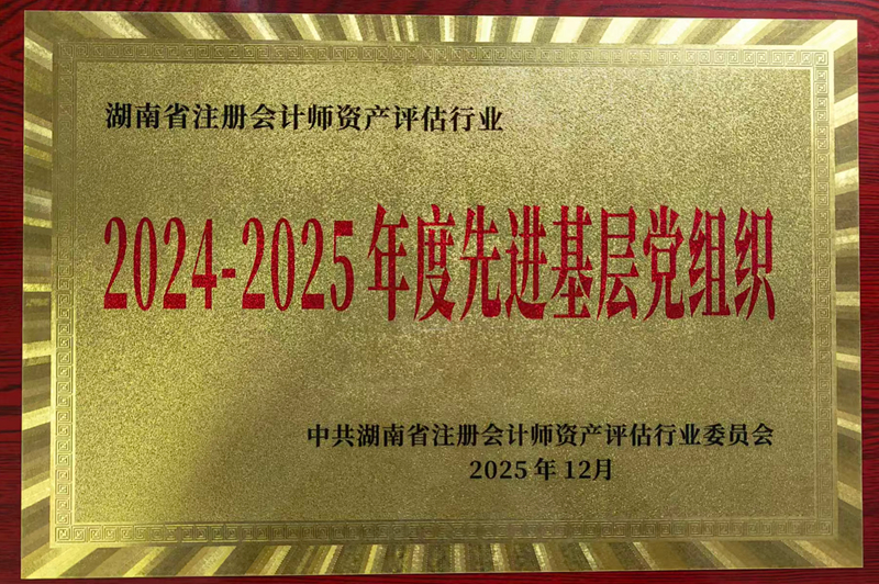 2024-2025年度先进基层党组织
