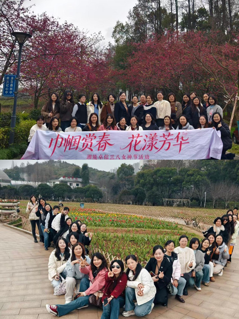 湘能卓信会计师事务所,长沙会计师事务所,会计报表年审业务承包,企业财务报表审计,管理审计项目审计,管理咨询会计服务,资本验证